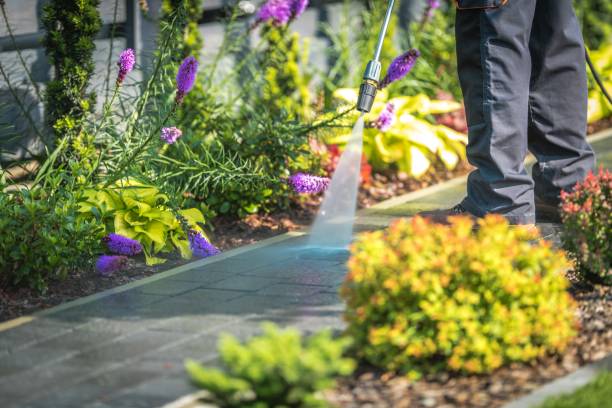 Best Restaurant Pressure Washing  in West Frankfort, IL